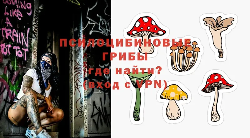 Псилоцибиновые грибы Magic Shrooms  Спас-Деменск 